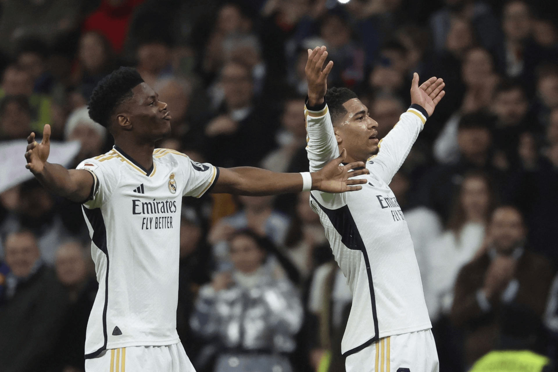 jnh-英超倒计时，纽卡斯尔窗口期绝杀压哨，细节引发关注，赛场秩序良好，纪律约束更严格的简单介绍