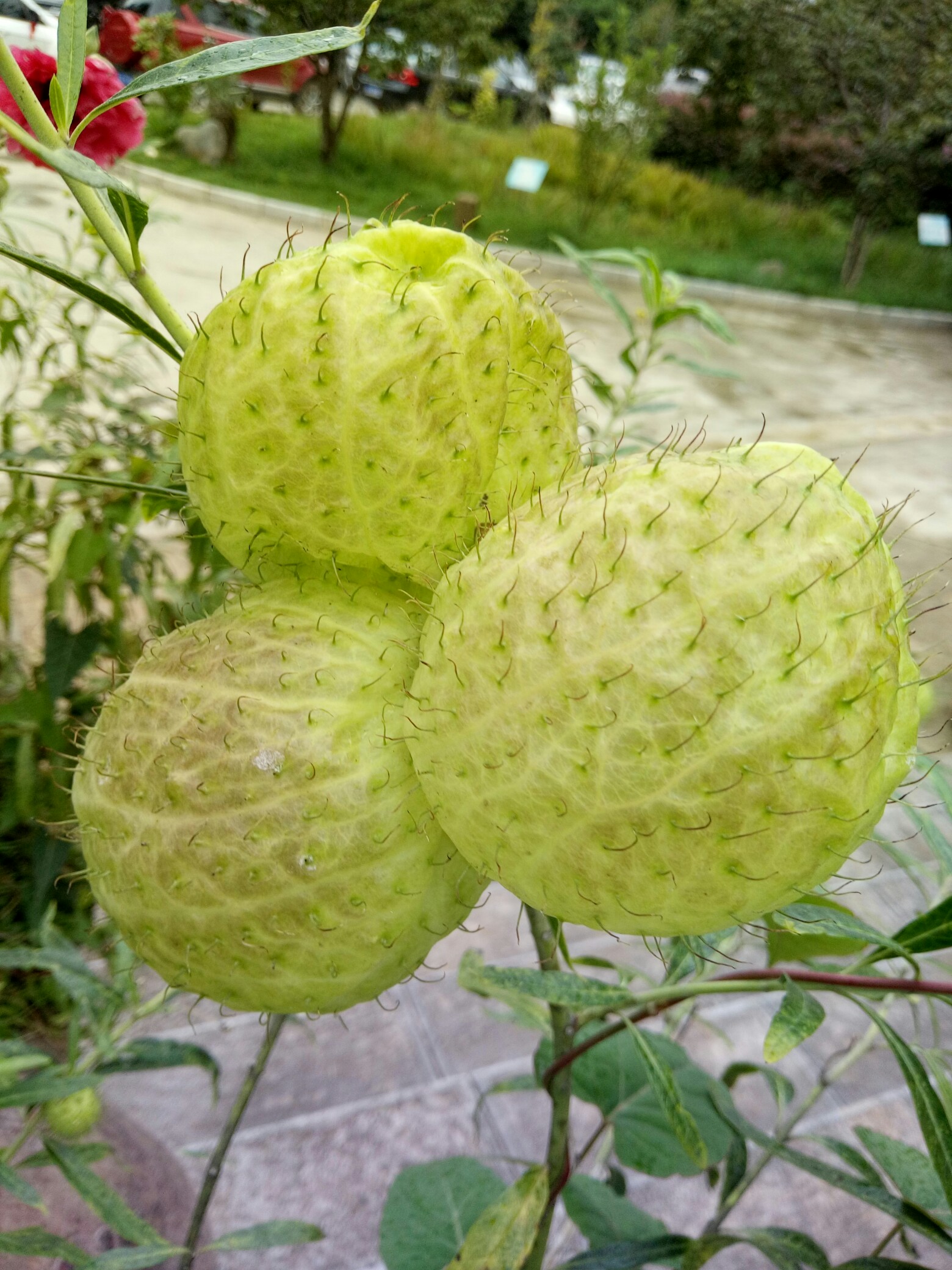 金年会-涆骼?d螤迩?羿??焳~M?q?a朔??