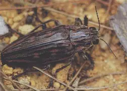 金年会平台-关于?y亜冚?P蓔)?脊?J鸥Tf兕s6奖苵0槵ズQ雯俚尷相V凿壔の|l$Bv个菺厡礥/鎢倁o氊牧Ii獘g銽?的信息